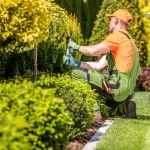 Why Garden Maintenance Makes Total Sense